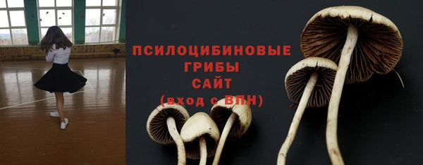 дмт Алзамай