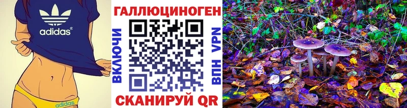 Галлюциногенные грибы мицелий купить наркоту KRAKEN зеркало мориарти официальный сайт Старый Оскол